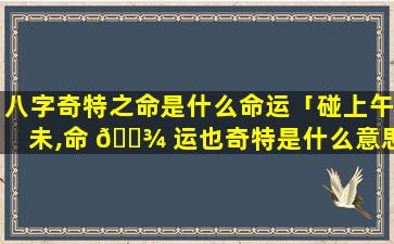 八字奇特之命是什么命运「碰上午未,命 🌾 运也奇特是什么意思」